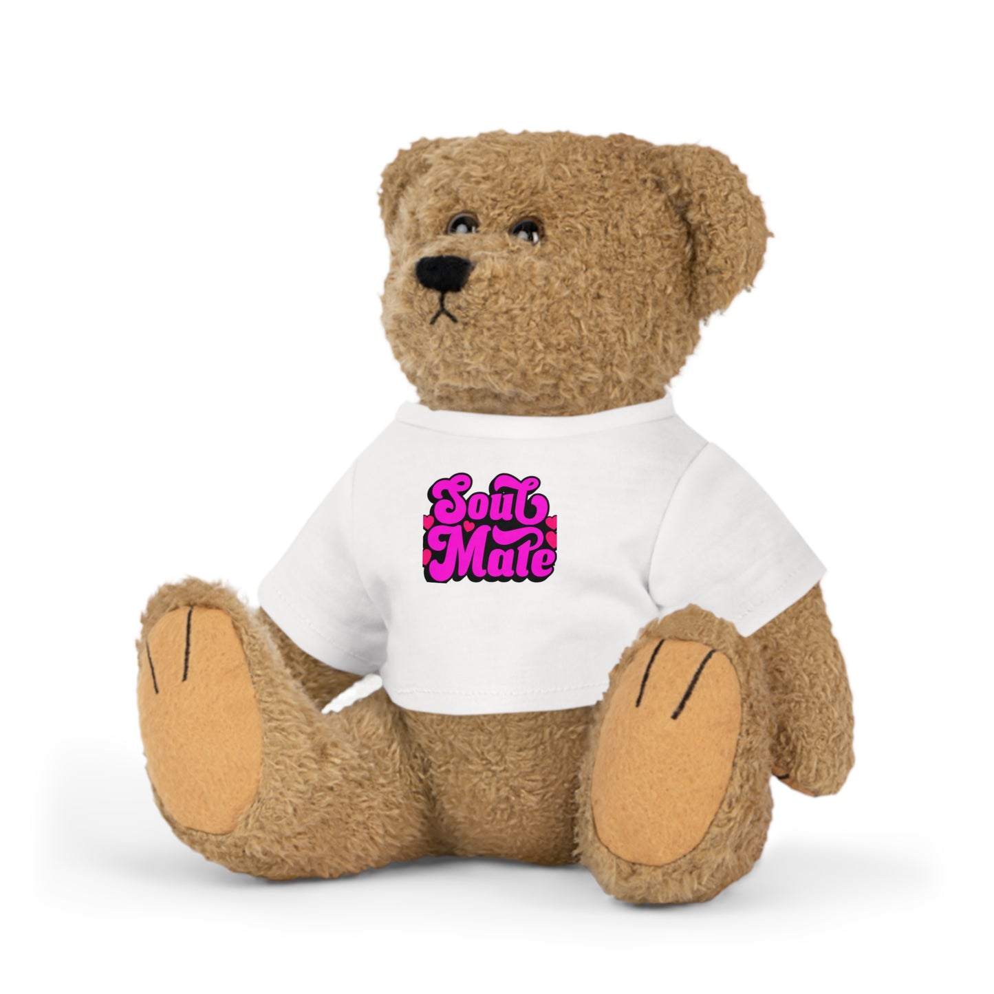 Valentine Teddy Bear Plush Toy with T-Shirt, Personalized Stuffed Animal Gift, Custom Heart Love Bear, Cute Anniversary Present for